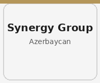 Synergy Group